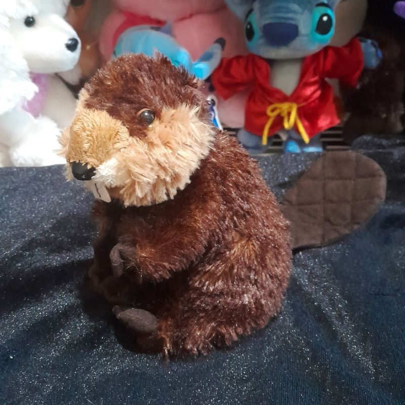 Boneka Hewan Beaver (Berang-Berang)