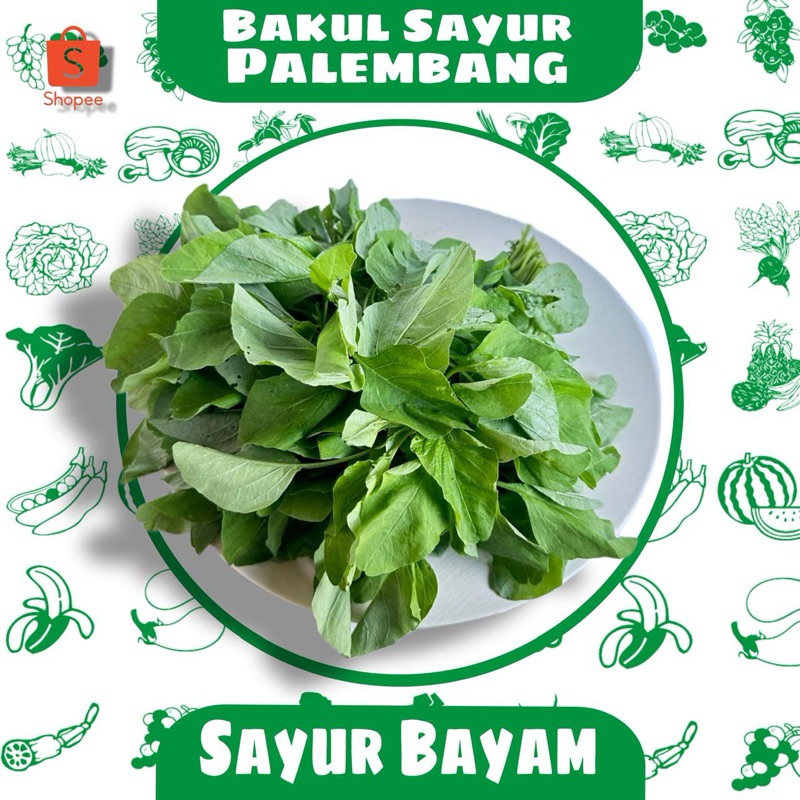 

Sayur Bayam 1 ikat (PALEMBANG)