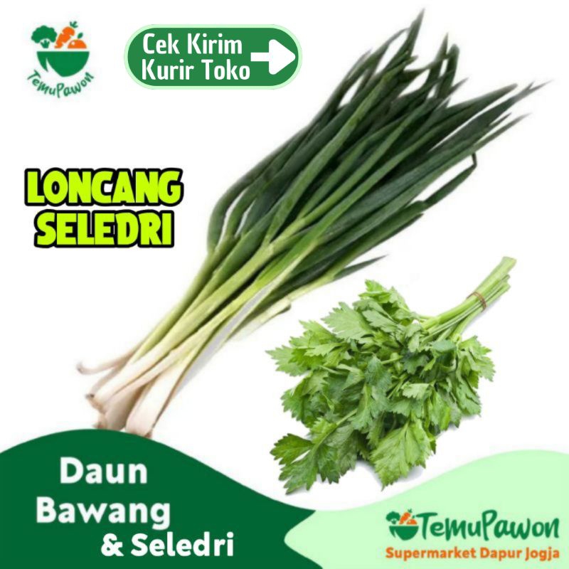 

DAUN BAWANG & SELEDRI PER PACK - Sayur Hijau Loncang Sledri per Paket - TemuPawon