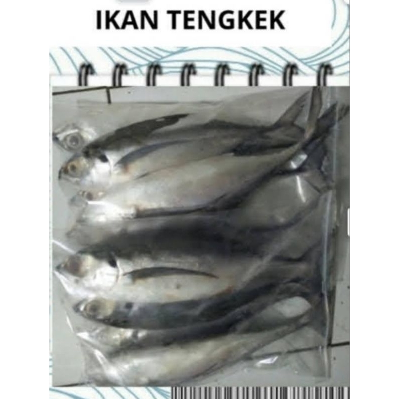 

Jual Ikan Laut/Ikan Segar/Ikan Tengkek /Seafood - 1kilogram