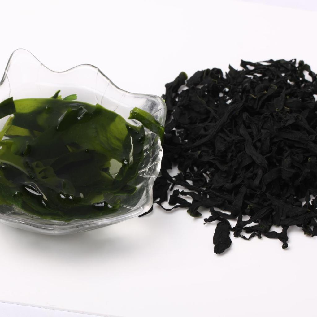 

Rumput Laut Kering | Cut Wakame | Dried Seaweed [ 50 gr | 100 gr | 250 gr ]