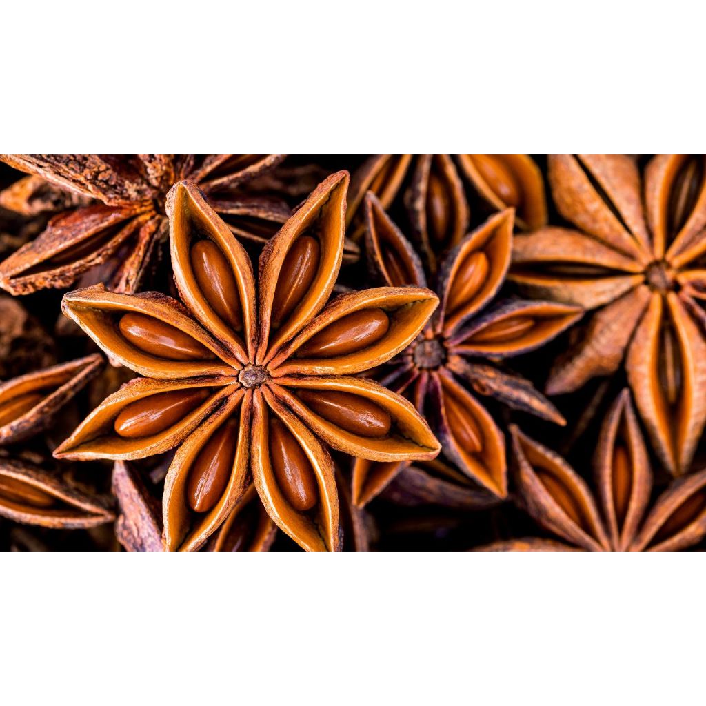 

[ 50 gr | 100 gr | 250 gr | 500 gr ] Bunga Lawang | Star Anise | Pekak