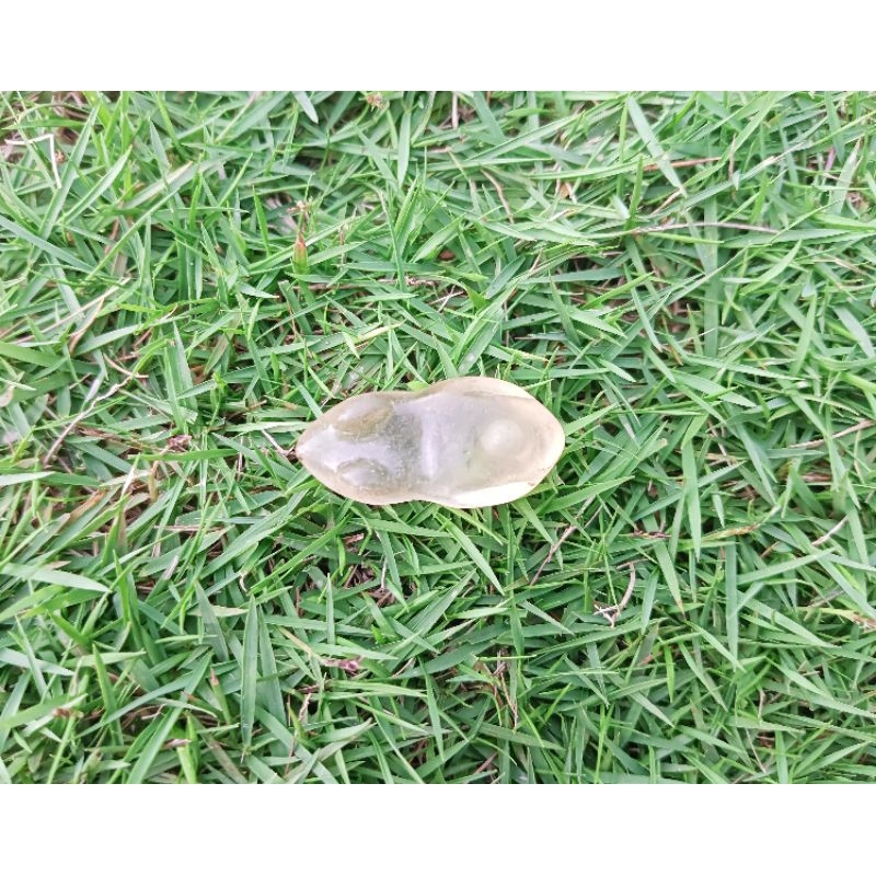 Molding Soft Frog Panjang 3,2 cm JL1424.2027