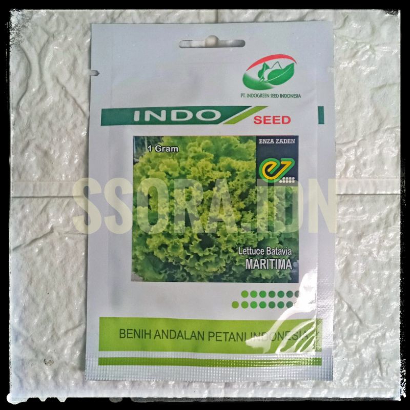 (PREORDER) BENIH SELADA BATAVIA MARITIMA 500 PILL ENZA ZADEN INDOSEED