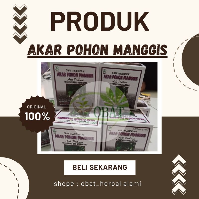 

AKAR POHON MANGGIS ORIGINAL