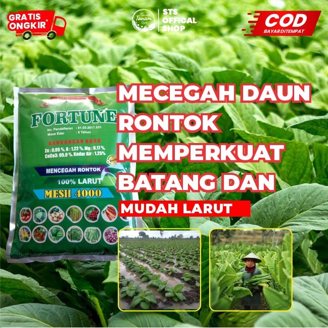 Fortune Kalsium Pupuk Pelebat Daun Tembakau, Memperlebar Tembakau + ZPT + Boron Anti Hama Kemasan 1 