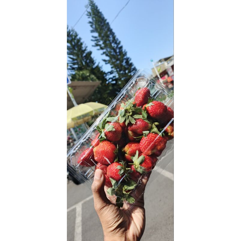 

Strawberry jumbo fresh