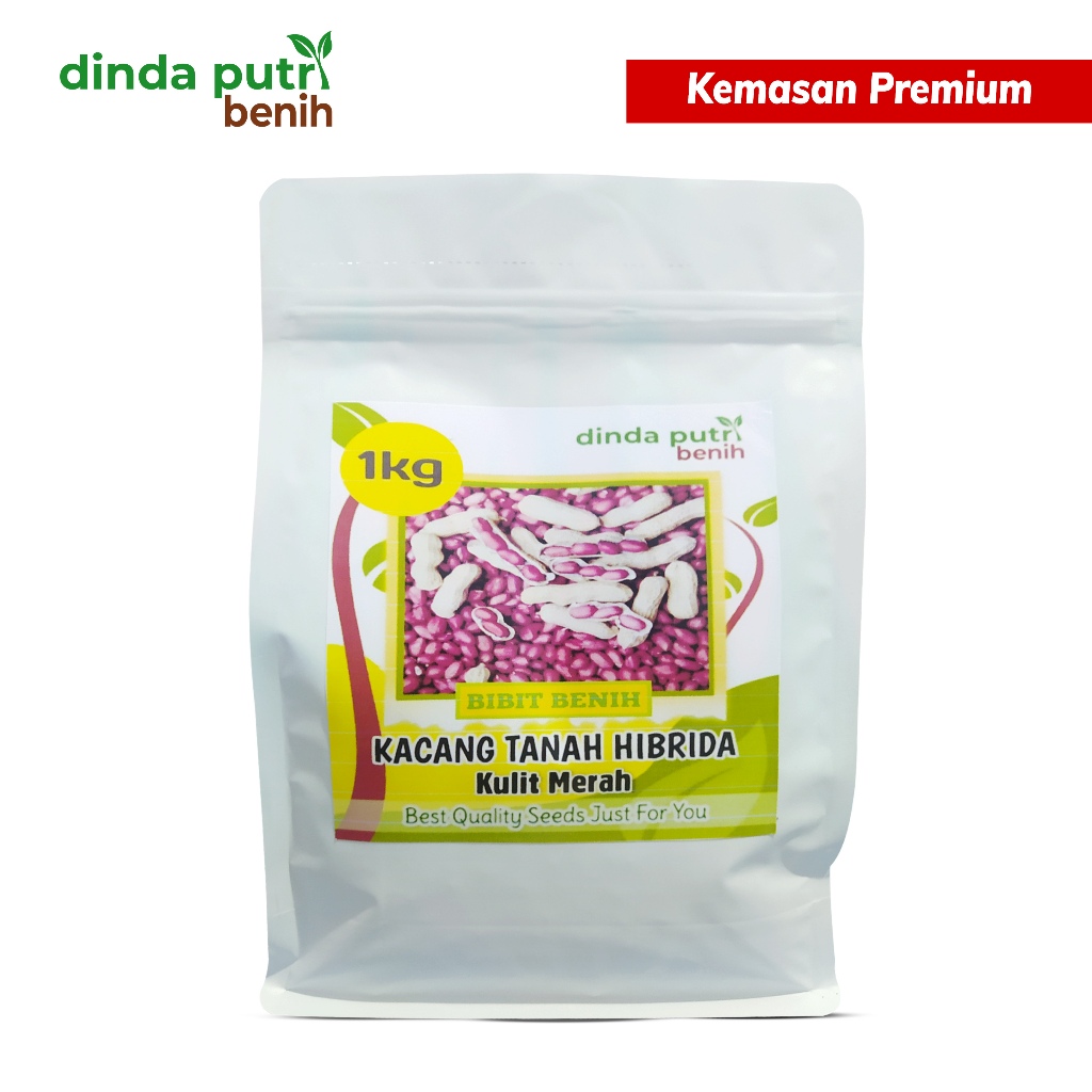 kacang tanah hibrida kulit merah terbaik isi 1000gr (1kg) new packaging / benih kacang tanah kulit m