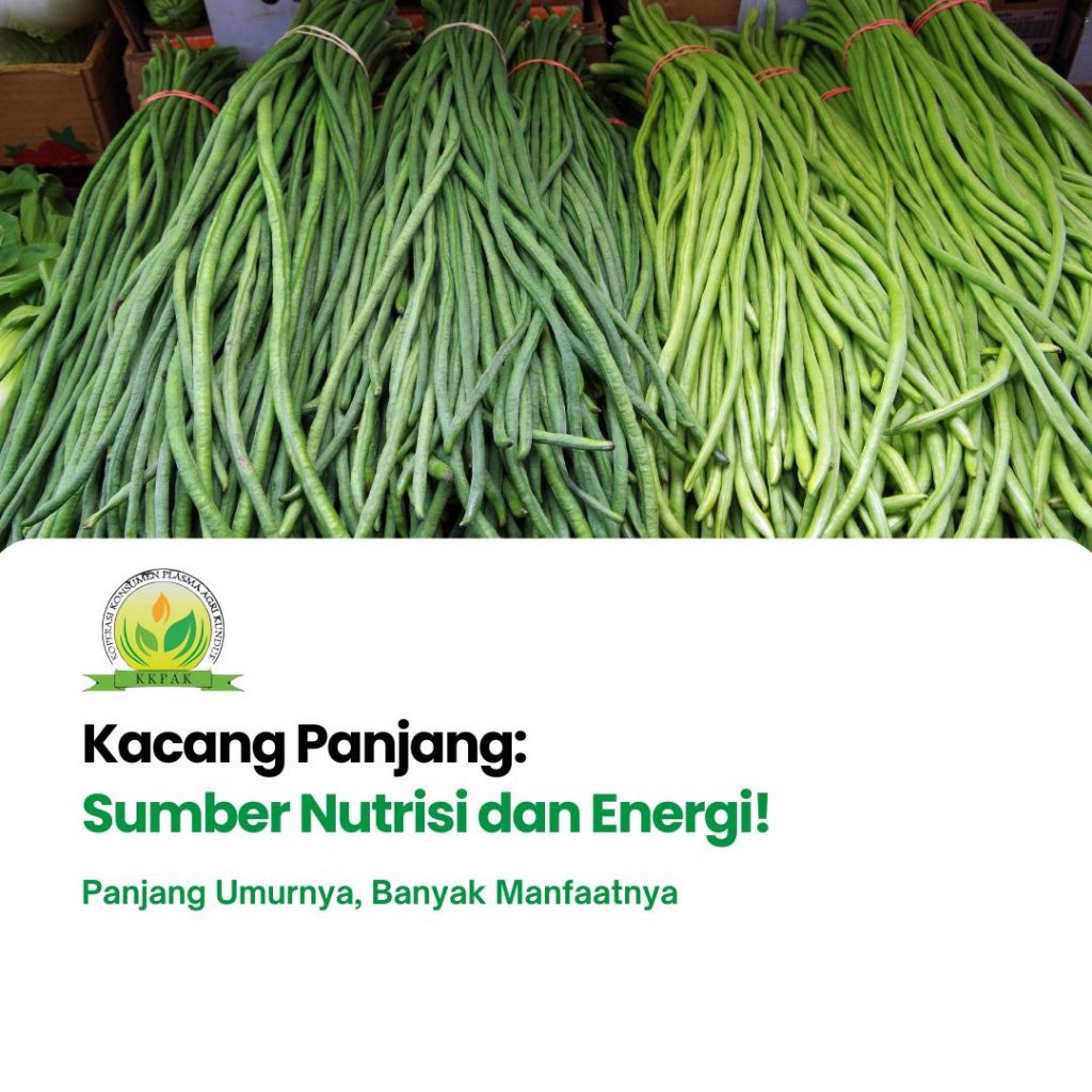 

Kacang Panjang - Koperasi Plasma Agri Kundur