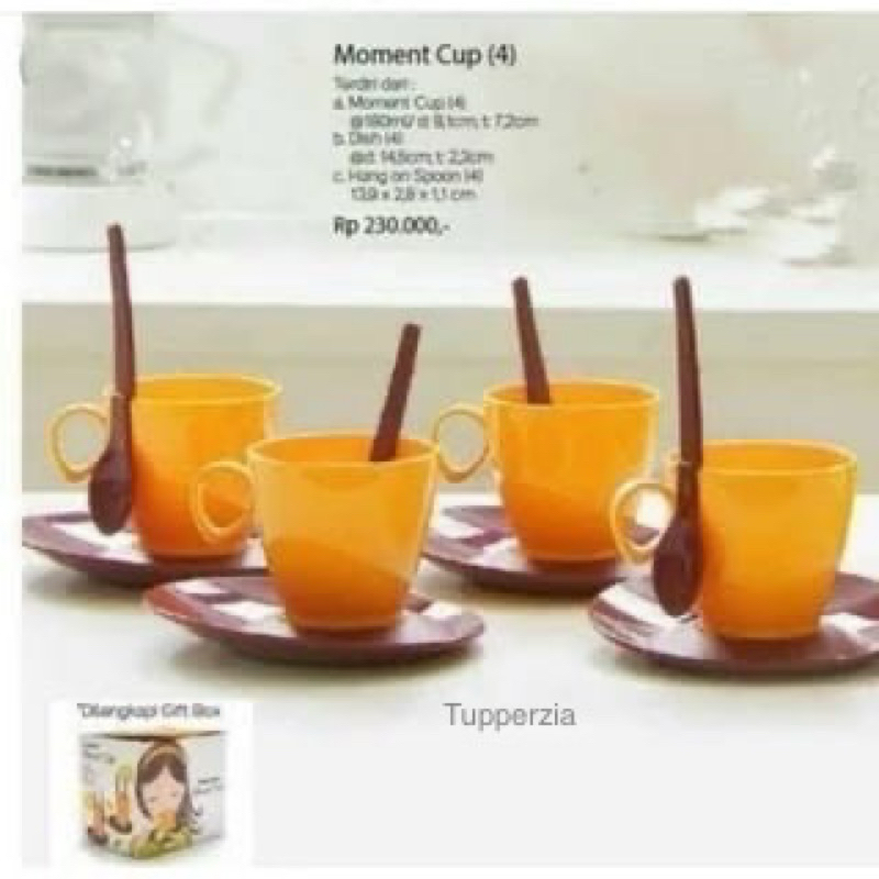 Moment Cup 1 set Tupperware