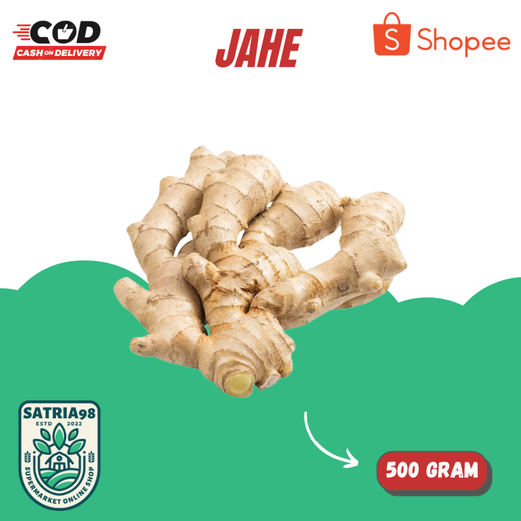 

Rempah Jahe pilihan langsung dari petani (COD)