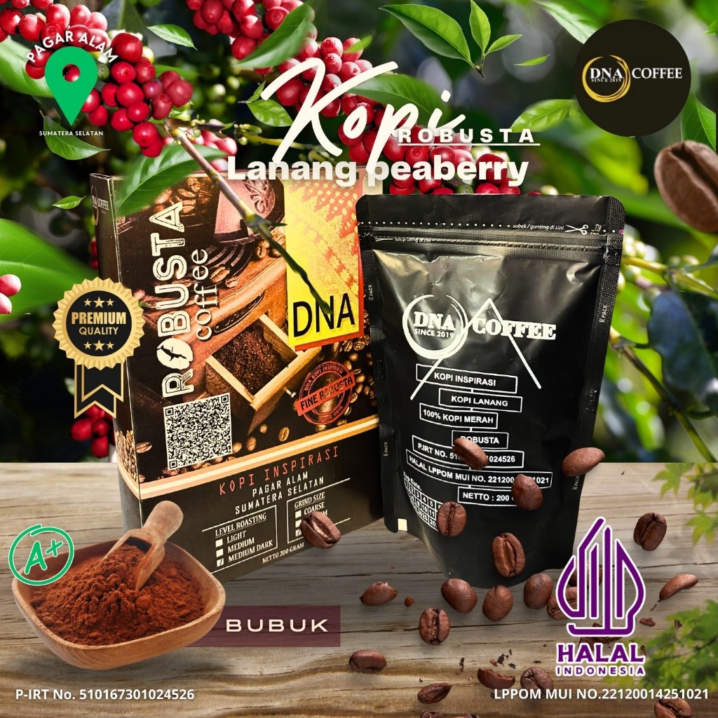 

ROBUSTA LANANG/PEABERRY | DNA COFFEE | KOPI PAGAR ALAM 100% Premium