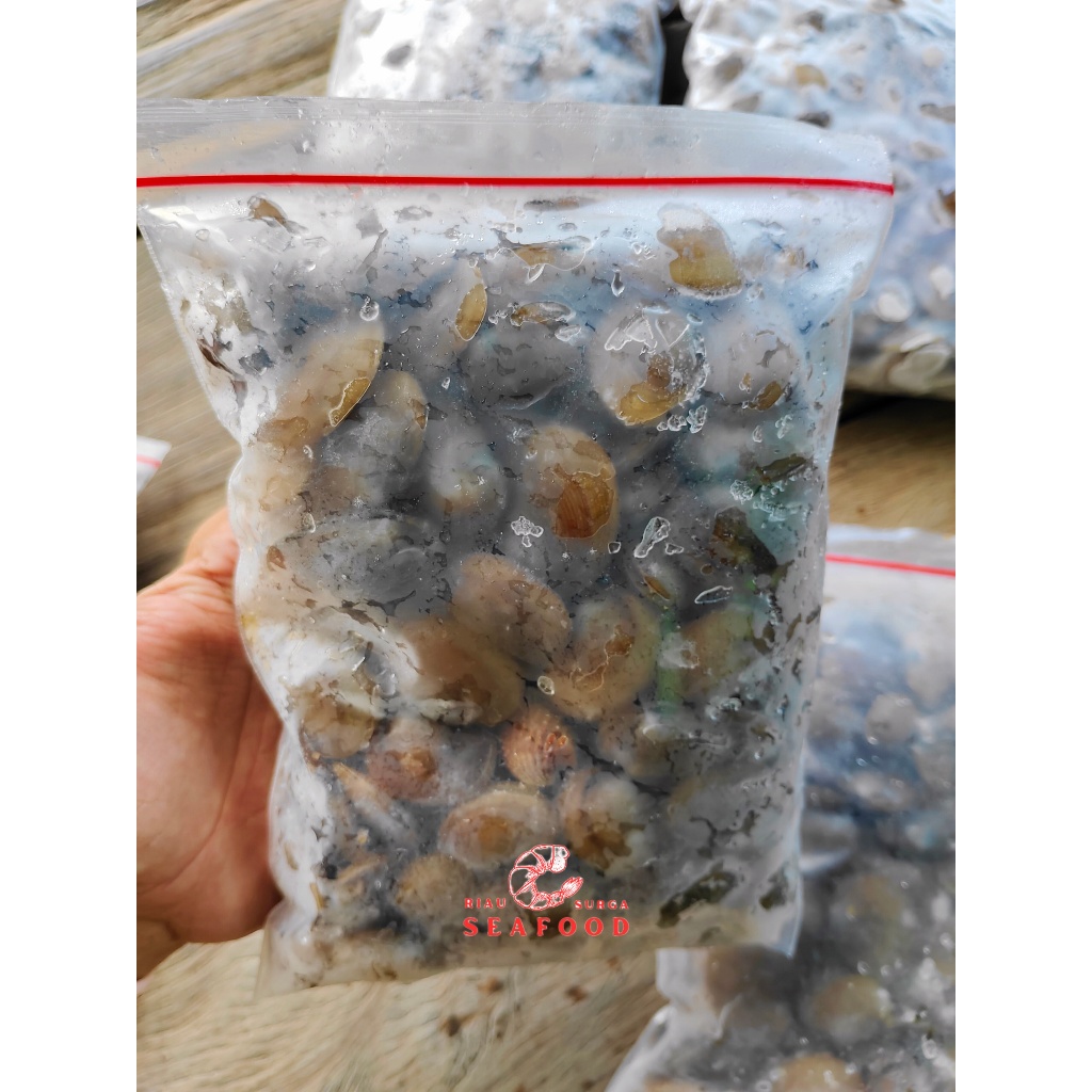 

Kerang Remis/Kerang Laya Segar Beku 500gram PerPack