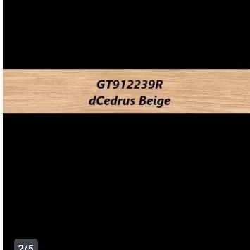 Roman Granit GT912239R dCedrus Beige 15x90/Lantai kayu