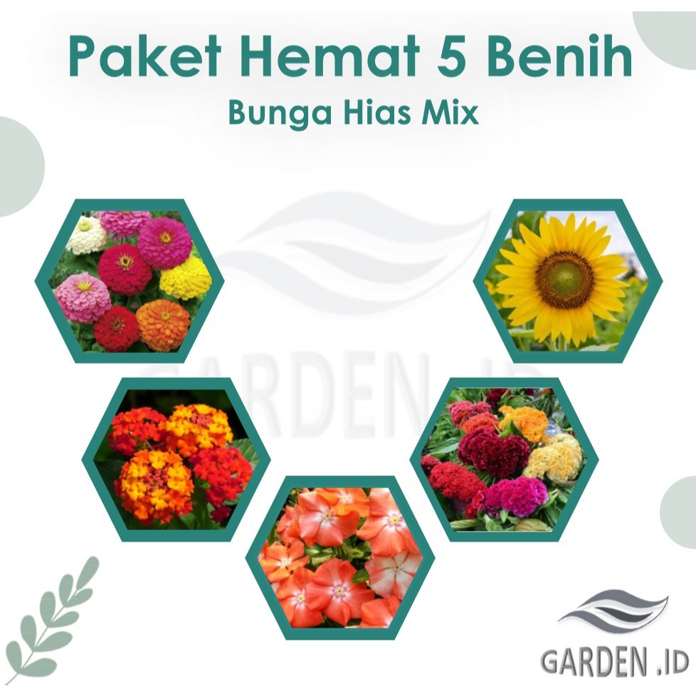 Paket Hemat Biji Benih  Bunga Zinnia Elegans Lantana Merah Red Vinca Mandarin Orange Celosia Argente