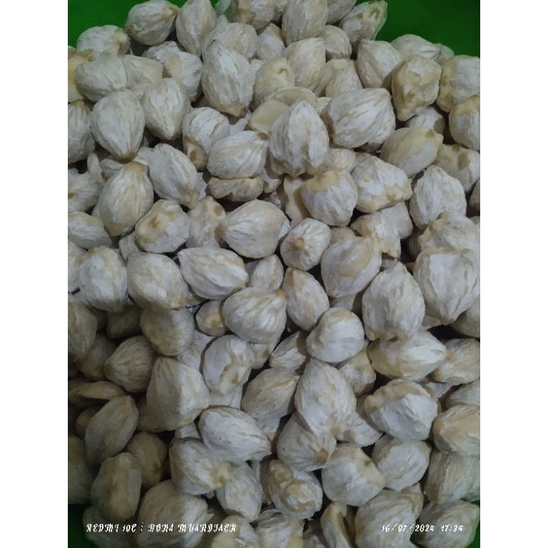 

Kemiri putih kualitas premium 100 gram