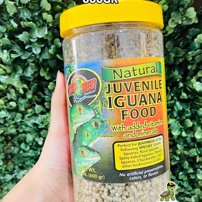 KF7 ZOOMED IGUANA JUVENILE 6GR PELET IGUANA UROMASTYX REPTIL KADAL RHINO XDR TURTLE