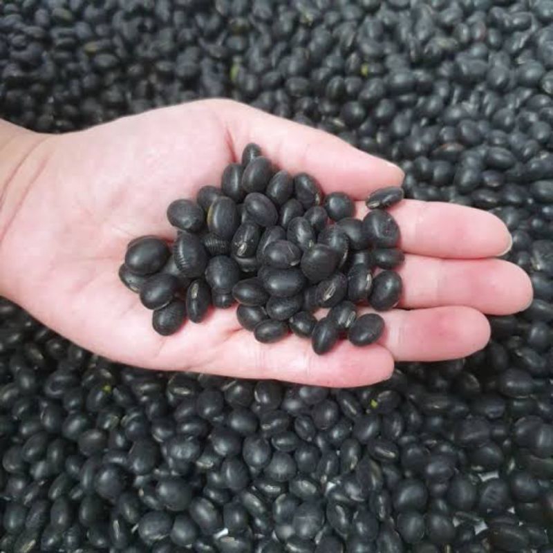 

BSM | TERMURAH Kacang Kedelai Hitam 250gr - 1kg / Kacang Kedelai Hitam / Kedelai Hitam