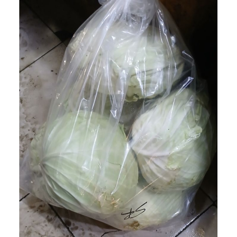 

kol putih/ kubis 5kg