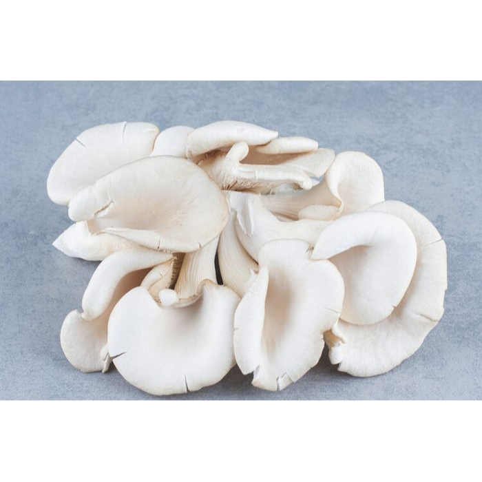 

Jamur tiram 250 gram
