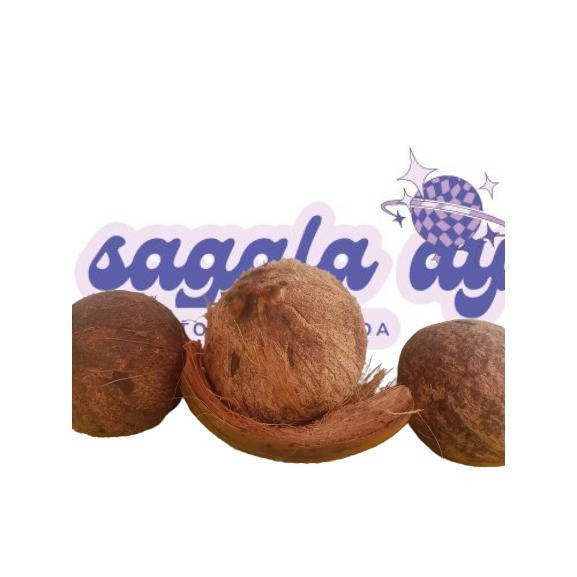 

Kelapa_hasil_nanam_sendiri