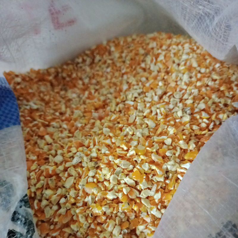 

JAGUNG PECAH JAGUNG SUPER 15KG PAKAN AYAM BURUNG