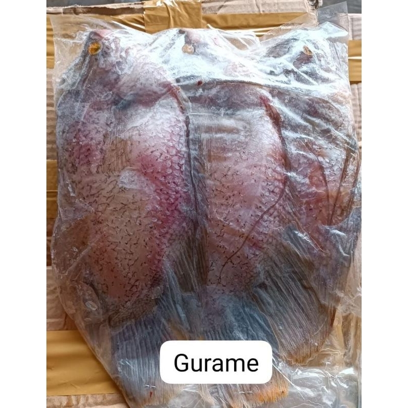 

gurame fresh segar 1 kg