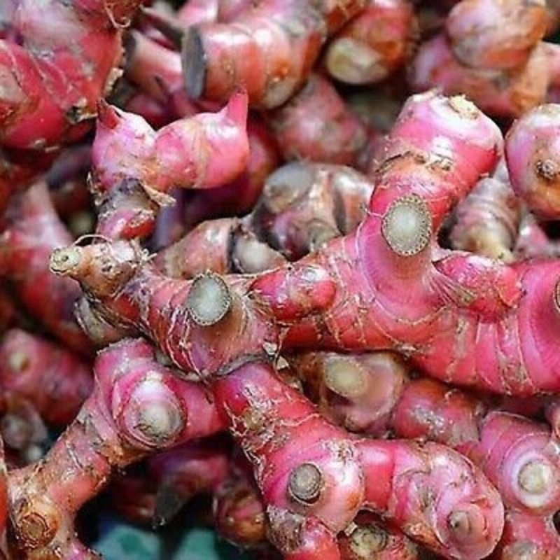 

Lengkuas/ Laos 350 gr