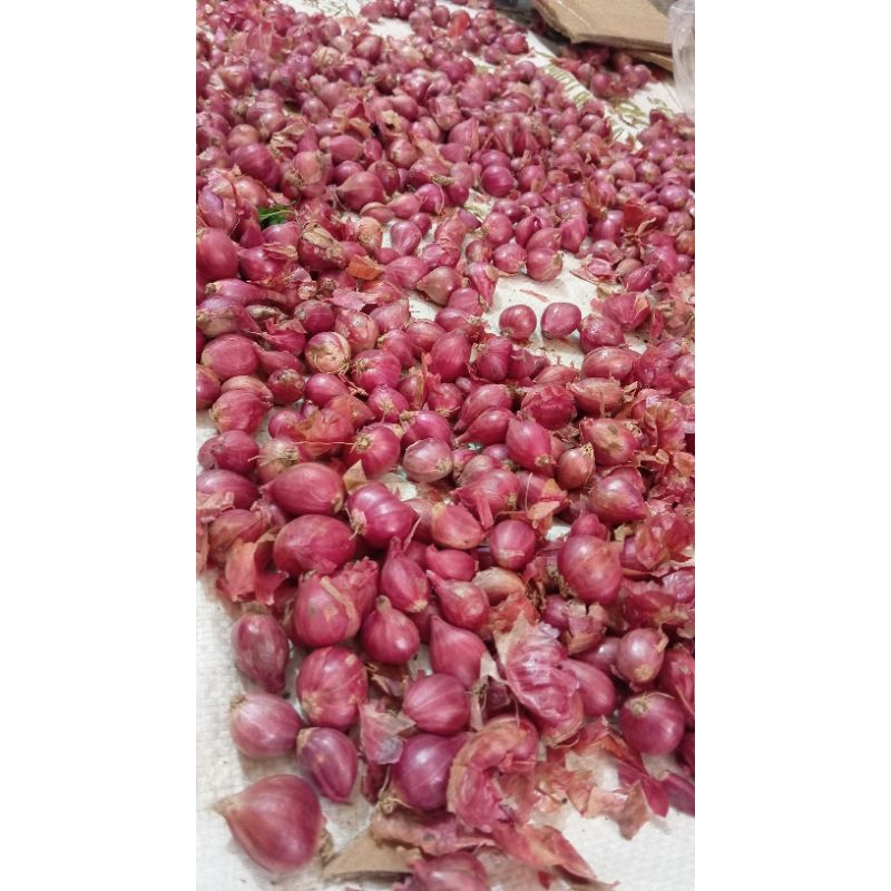 

bawang merah uk sedang asli probolinggo 1kg