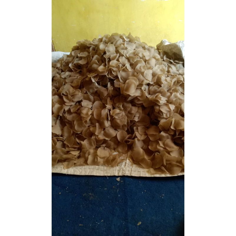 

#KRUPUK MENTAH#KERUPUK PULI#KERUPUK TEPUNG#MAKANAN RINGAN#KERUPUK IKAN#KERUPUK RENYAH#MAKANAN TRADISIONAL#MAKANAN TRADISIONAL INDONESIA#KULINER INDONESIA#PRODUK RUMAHAN#OLEH-OLEH BONDOWOSO#