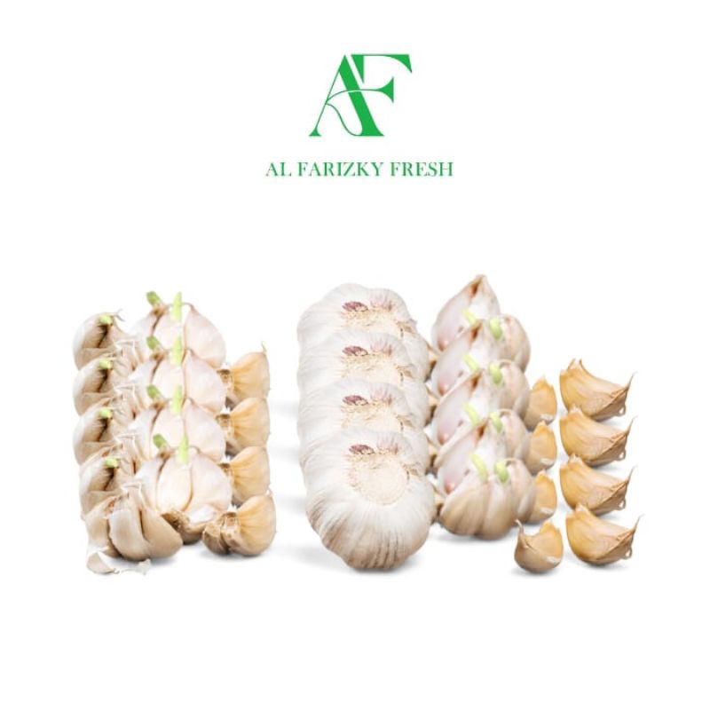 

Bawang Putih Banci / Biasa