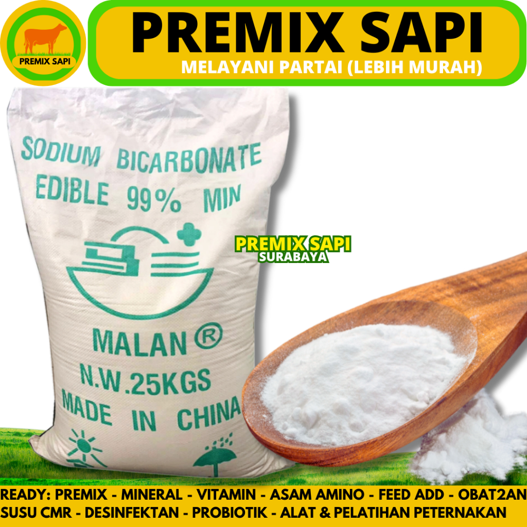 

SODA KUE 25KG - SODIUM BICARBONATE 25KG (1 SAK) - BAKING SODA - Baking Soda Food Grade