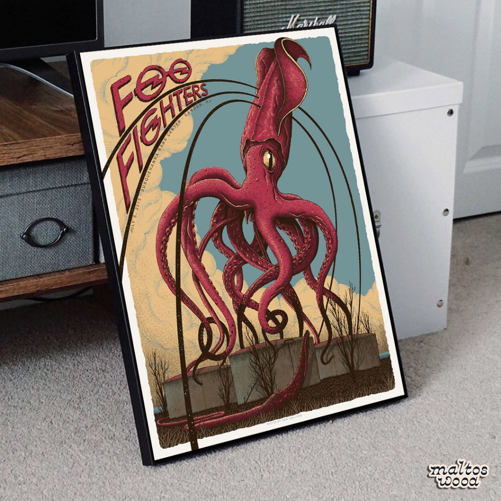 Poster Foo Fighters + Frame