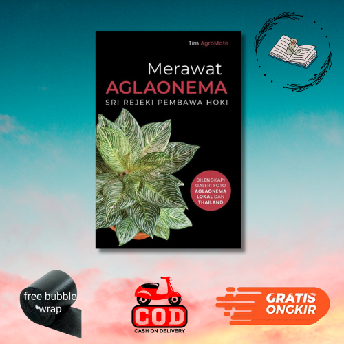 Merawat Aglaonema - Sri Rejeki Pembawa Hoki