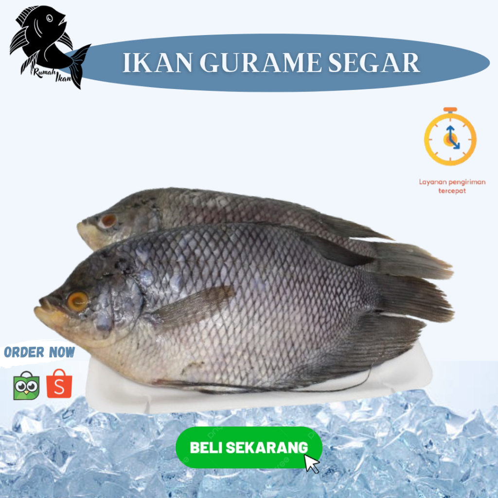 Ikan Gurame Rumah Ikan Segar Frozen 1kg