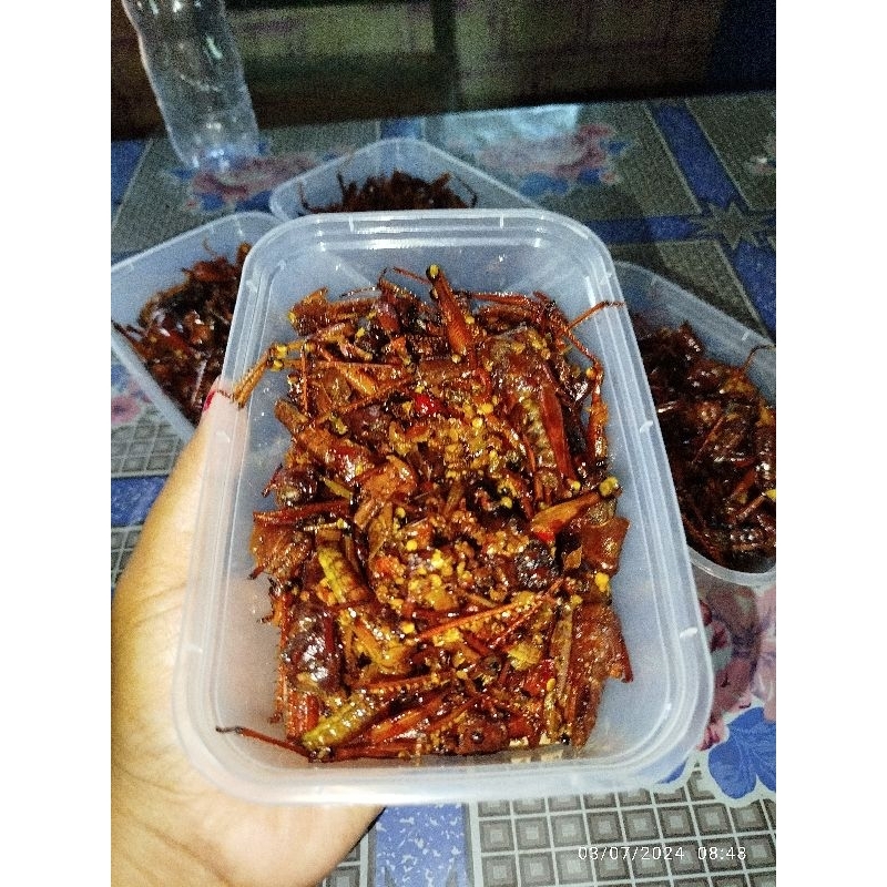 

walang goreng/belalang goreng