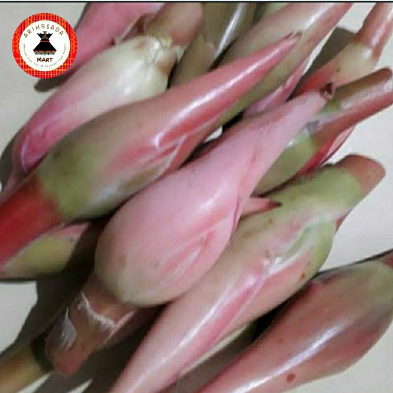 

Kencong/kecombrang khas karo 500gr.