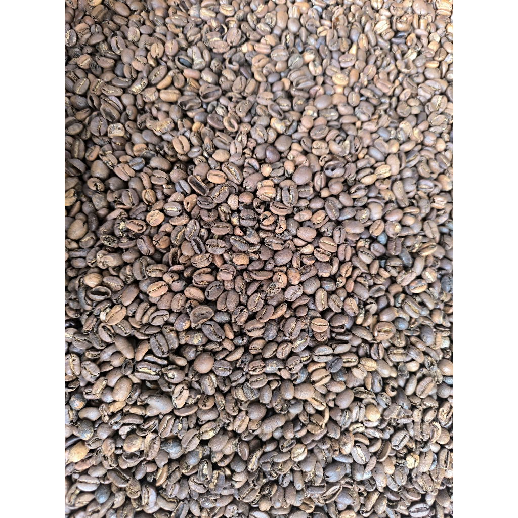 

Biji Kopi Arabika Arabica Gayo Grade 2 Commercial 1kg (Biji / Bubuk)