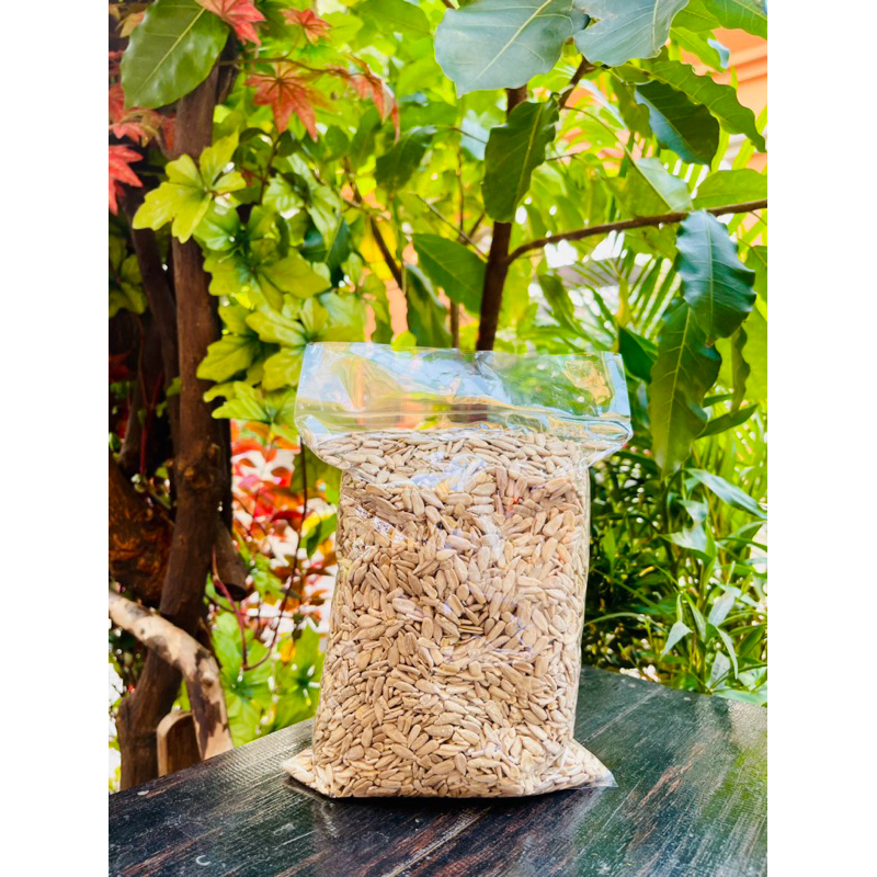 

KUACI KUPAS MENTAH BIJI BUNGA MATAHARI 1 KG / SUNFLOWER