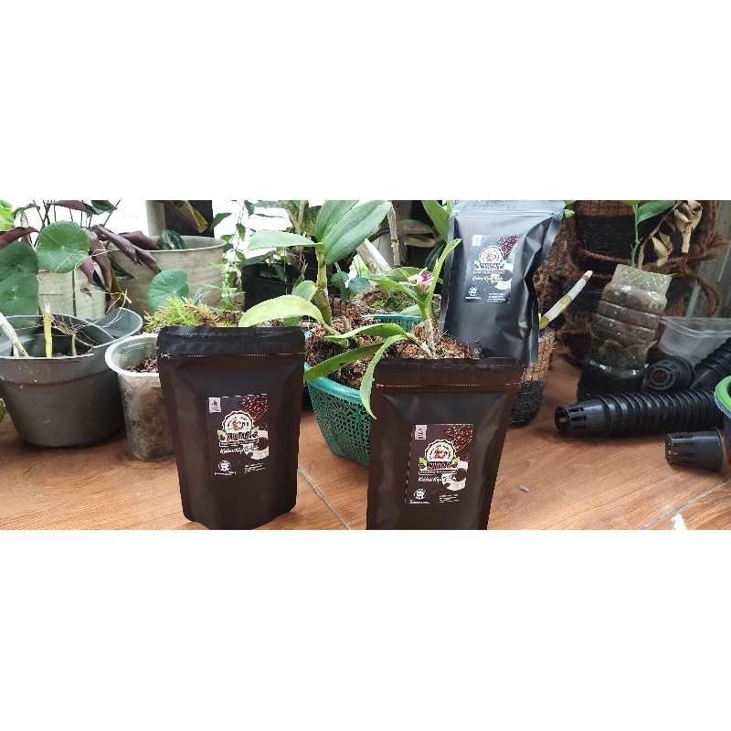 

Kopi Robusta Kobbar Lebakbarang