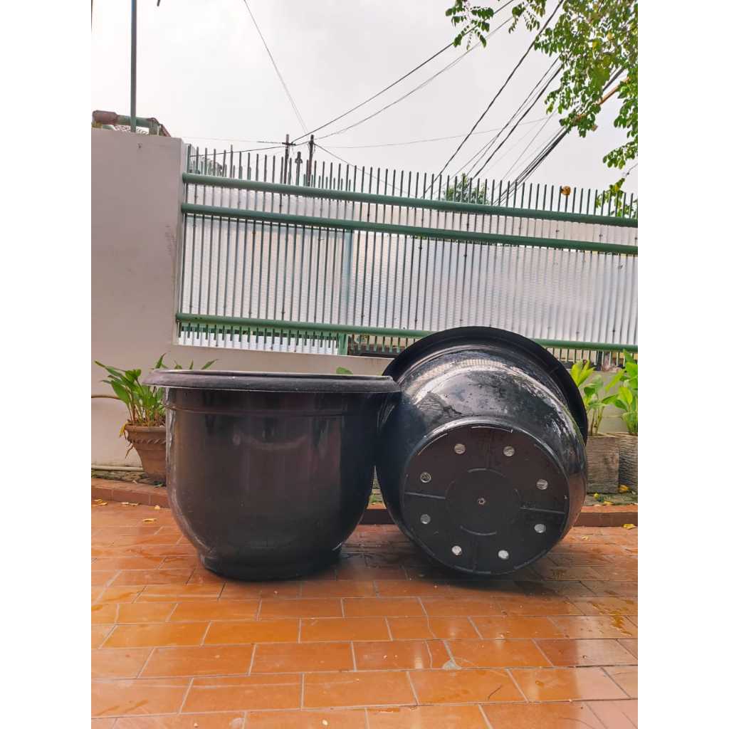 Pot Besar Jumbo