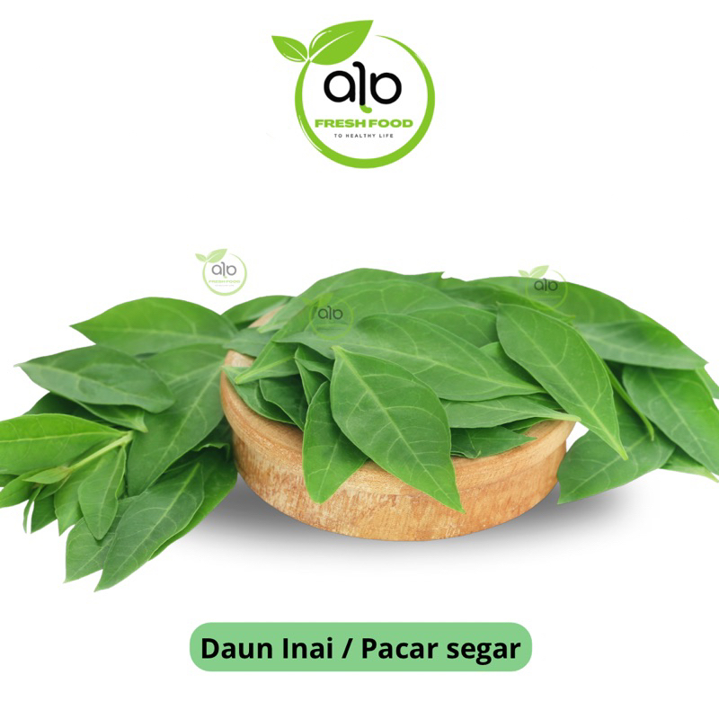 Daun Henna Segar - Daun Inai - Pacar Kuku - Pewarna Kuku - ALO Fresh Food