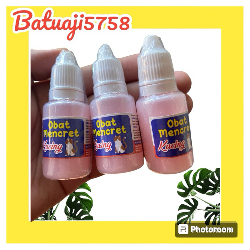 Obat Mencret Kucing