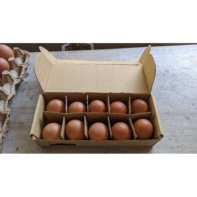 

Telur Ayam Omega 3 Jember 1 Pack isi 10 Butir Khusus GoSend