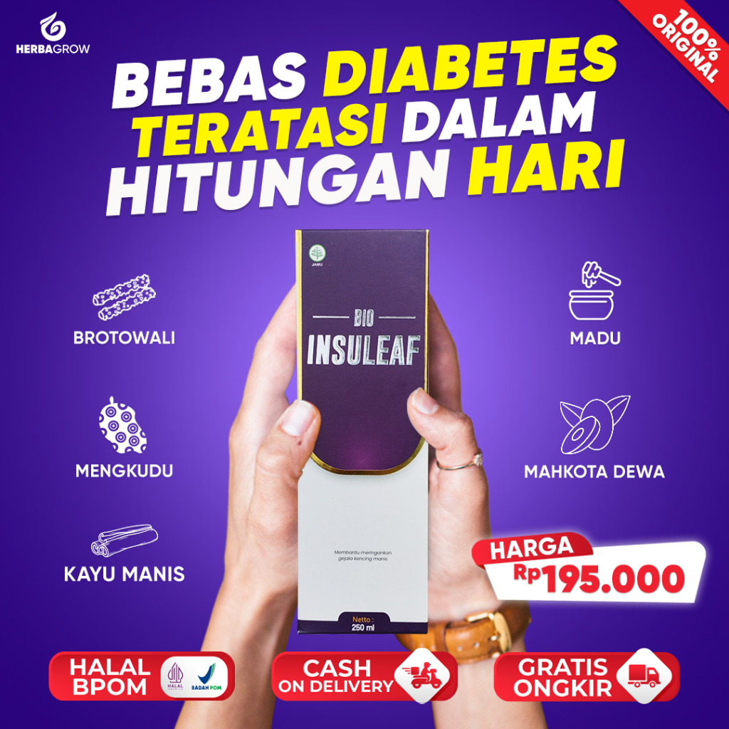 

Bio Insuleaf - Herbal Diabetes Kontrol Kadar Gula Darah Dan Hipertensi 200ml Ori Insulin
