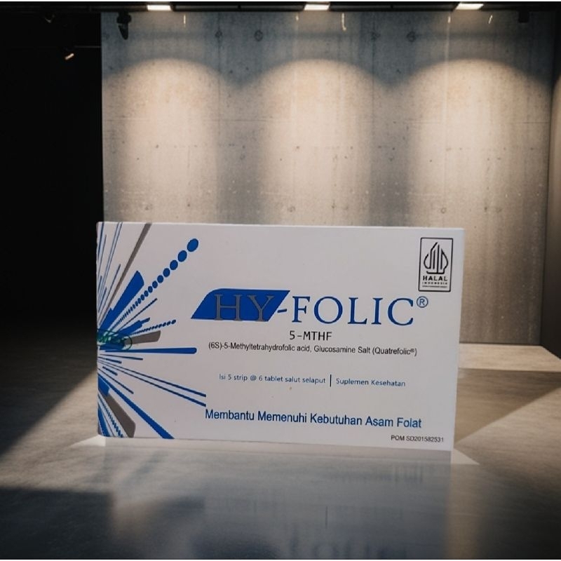 Hy-Folic Asam folat PERBOX