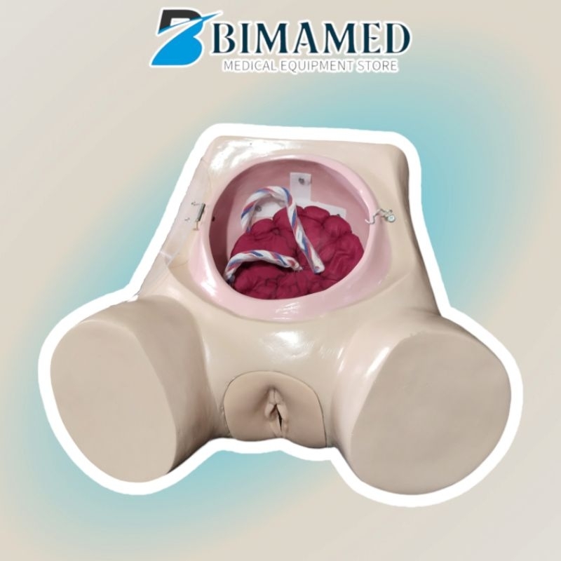 Phantom Manikin Plasenta Panggul Persalinan / Manikin Panggul Manual Plasenta