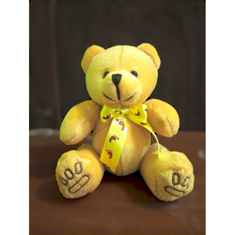 Boneka bear mini telapak coklat kentang 15cm bucket dan capit