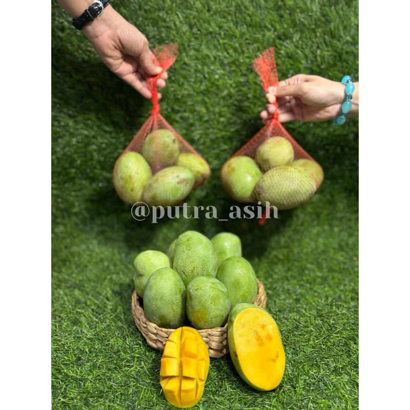 

Mangga Manalagi Madu ( Buy 1 Kg Free 1 Kg )