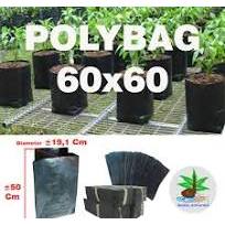 Polybag Jumbo 60x60 isi 1kg